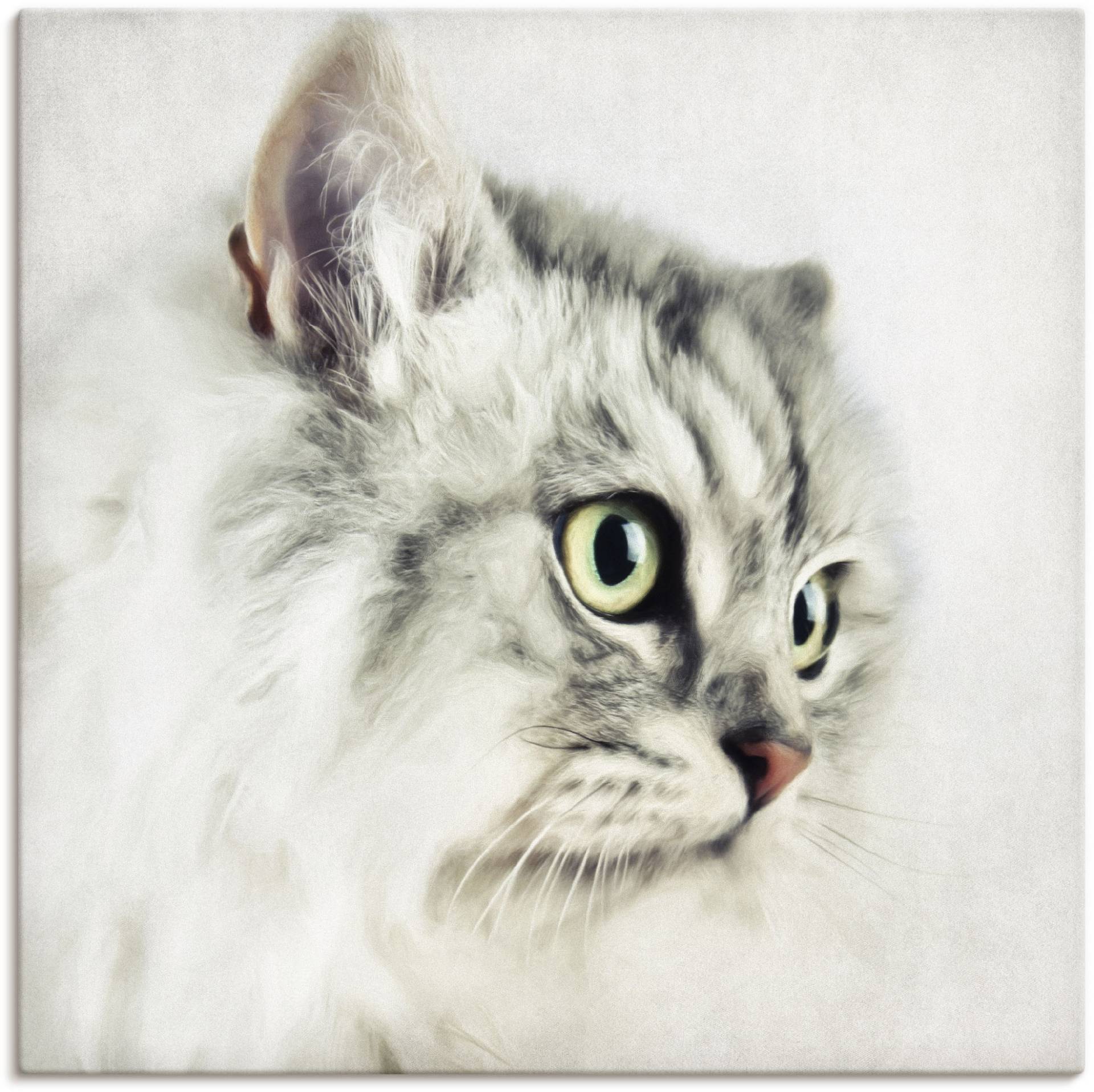 Artland Wandbild »Katzenporträt«, Haustiere, (1 St.), als Leinwandbild, Poster, Wandaufkleber in verschied. Grössen von Artland