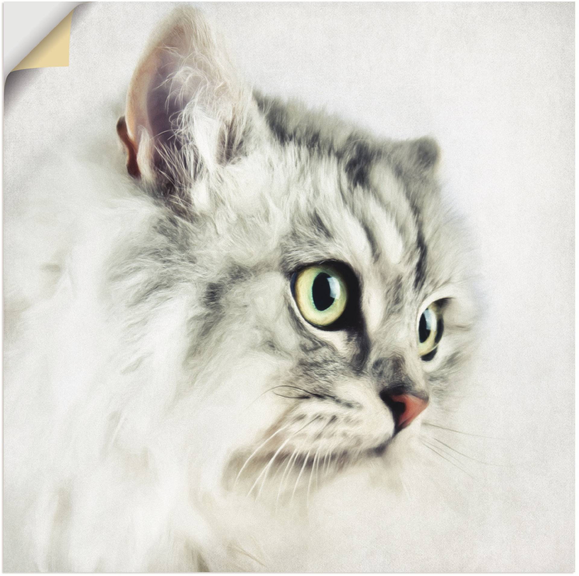 Artland Wandbild »Katzenporträt«, Haustiere, (1 St.), als Leinwandbild, Poster, Wandaufkleber in verschied. Grössen von Artland