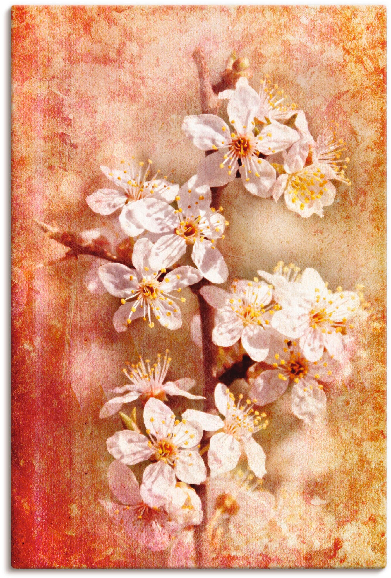 Artland Wandbild »Kirschblüten«, Blumen, (1 St.), als Leinwandbild, Poster in verschied. Grössen von Artland