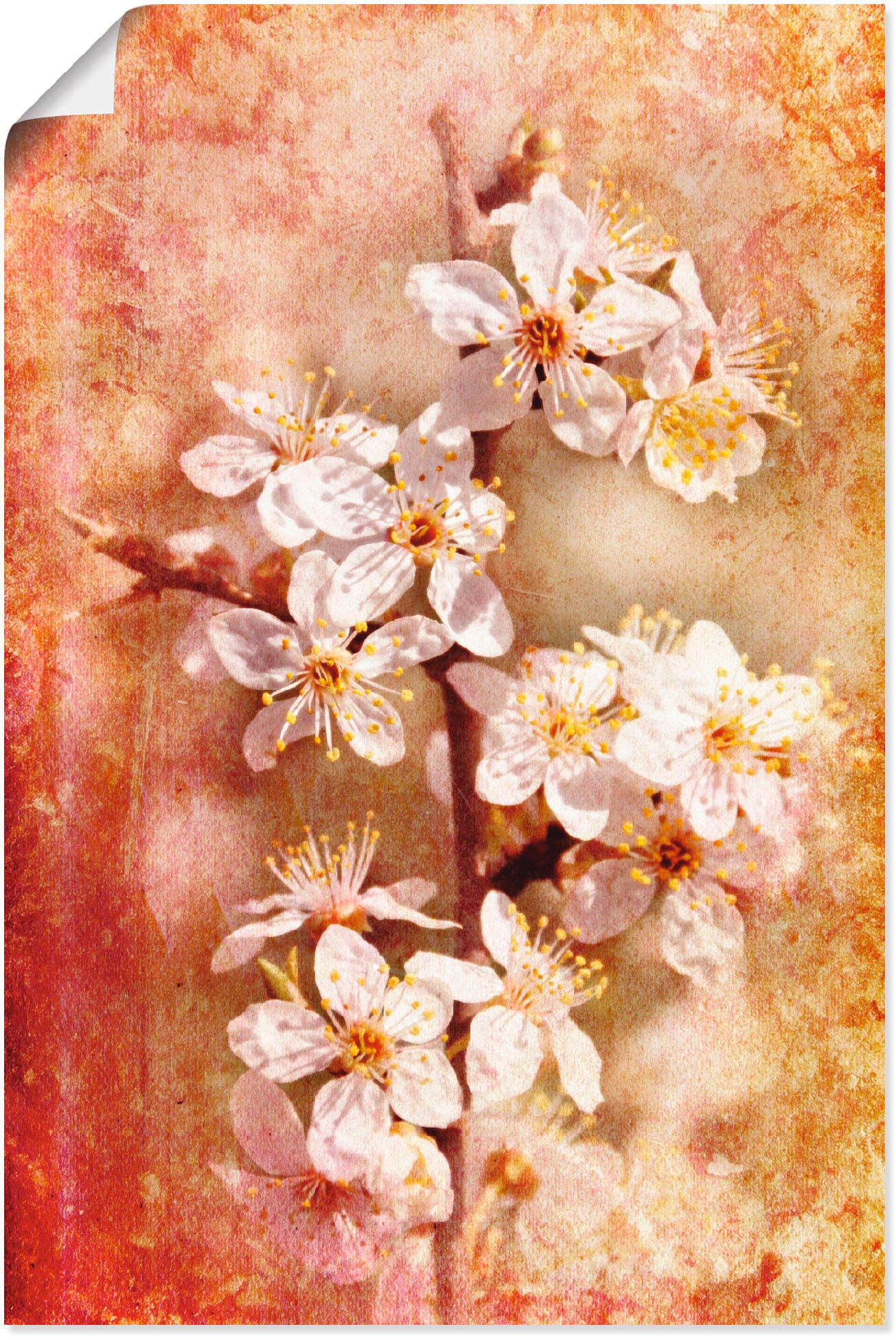 Artland Wandbild »Kirschblüten«, Blumen, (1 St.), als Leinwandbild, Poster in verschied. Grössen von Artland