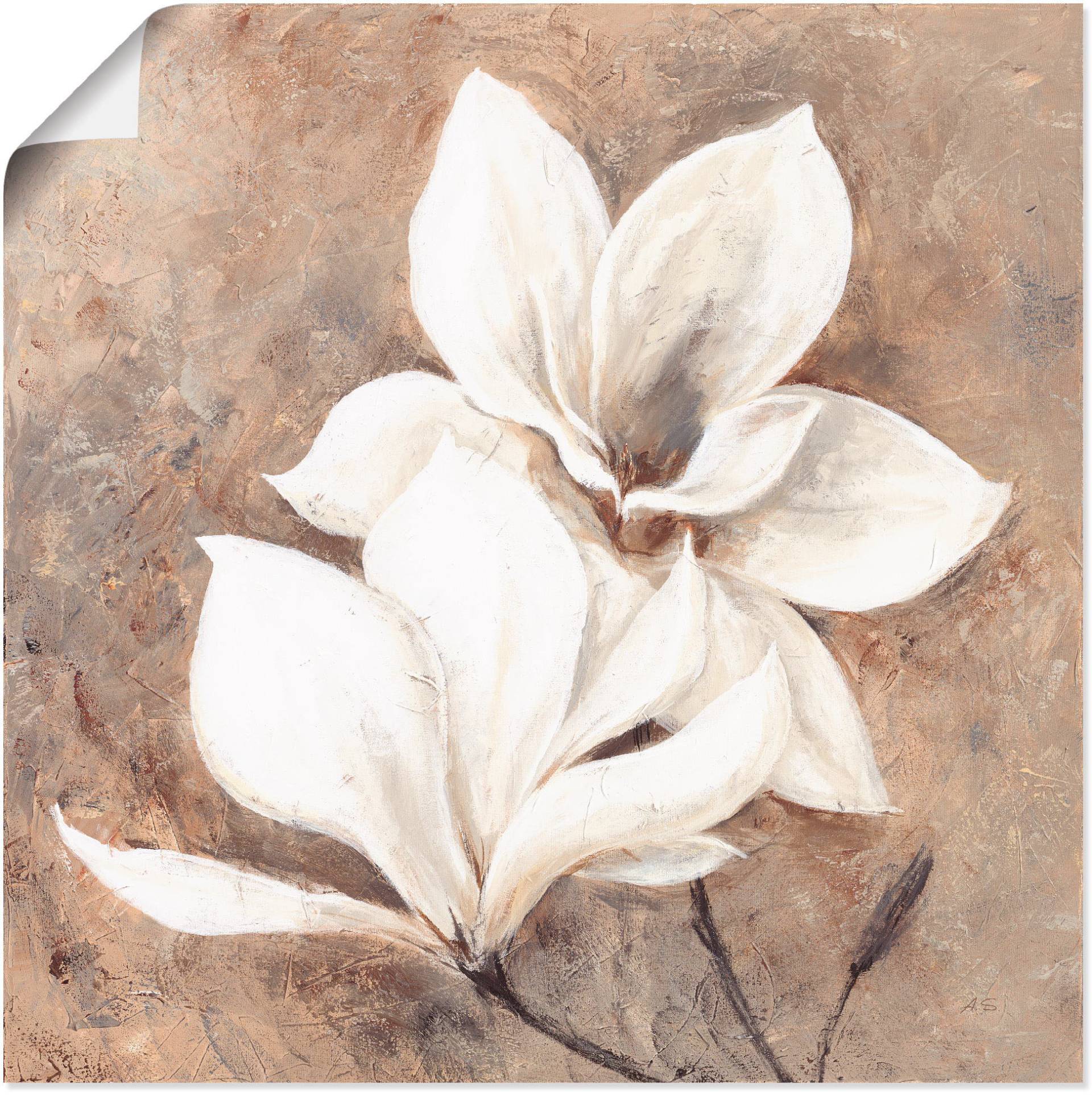 Artland Wandbild »Klassische Magnolien«, Blumen, (1 St.), als Alubild, Outdoorbild, Leinwandbild, Poster, Wandaufkleber von Artland