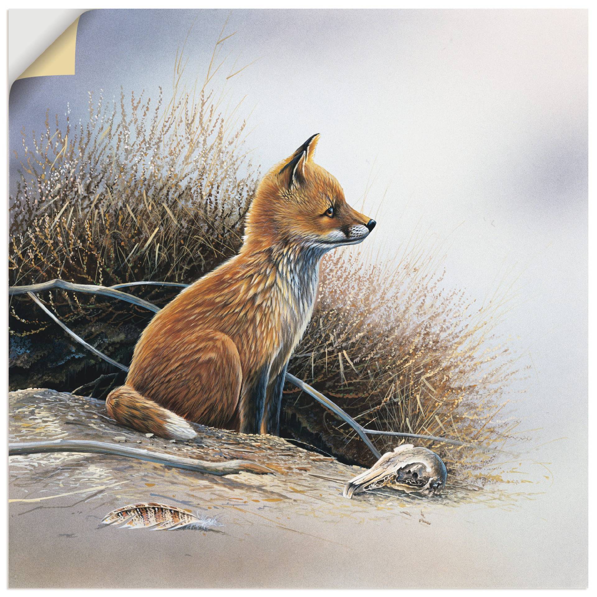 Artland Wandbild »Kleiner Fuchs«, Wildtiere, (1 St.), als Leinwandbild, Poster in verschied. Grössen von Artland