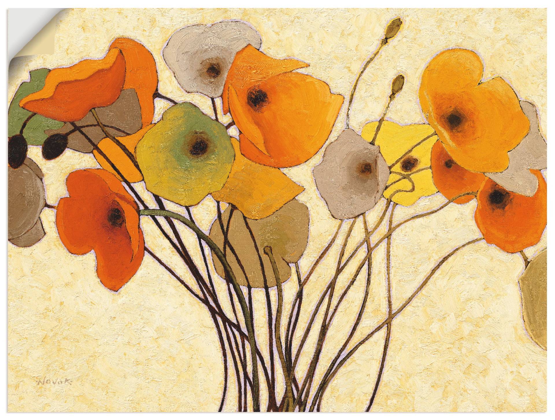 Artland Wandbild »Kürbismohn I«, Blumen, (1 St.), als Leinwandbild, Poster, Wandaufkleber in verschied. Grössen von Artland