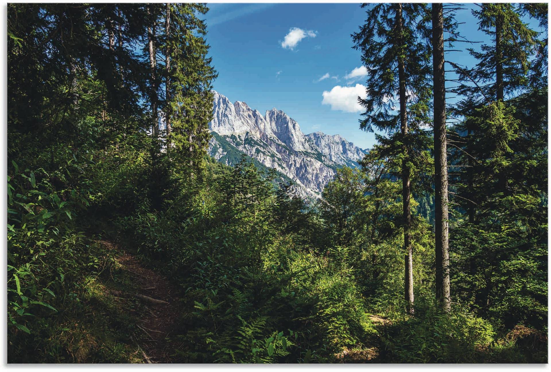 Artland Wandbild »Landschaft im Klausbachtal«, Waldbilder, (1 St.), als Alubild, Leinwandbild, Wandaufkleber oder Poster in versch. Grössen von Artland