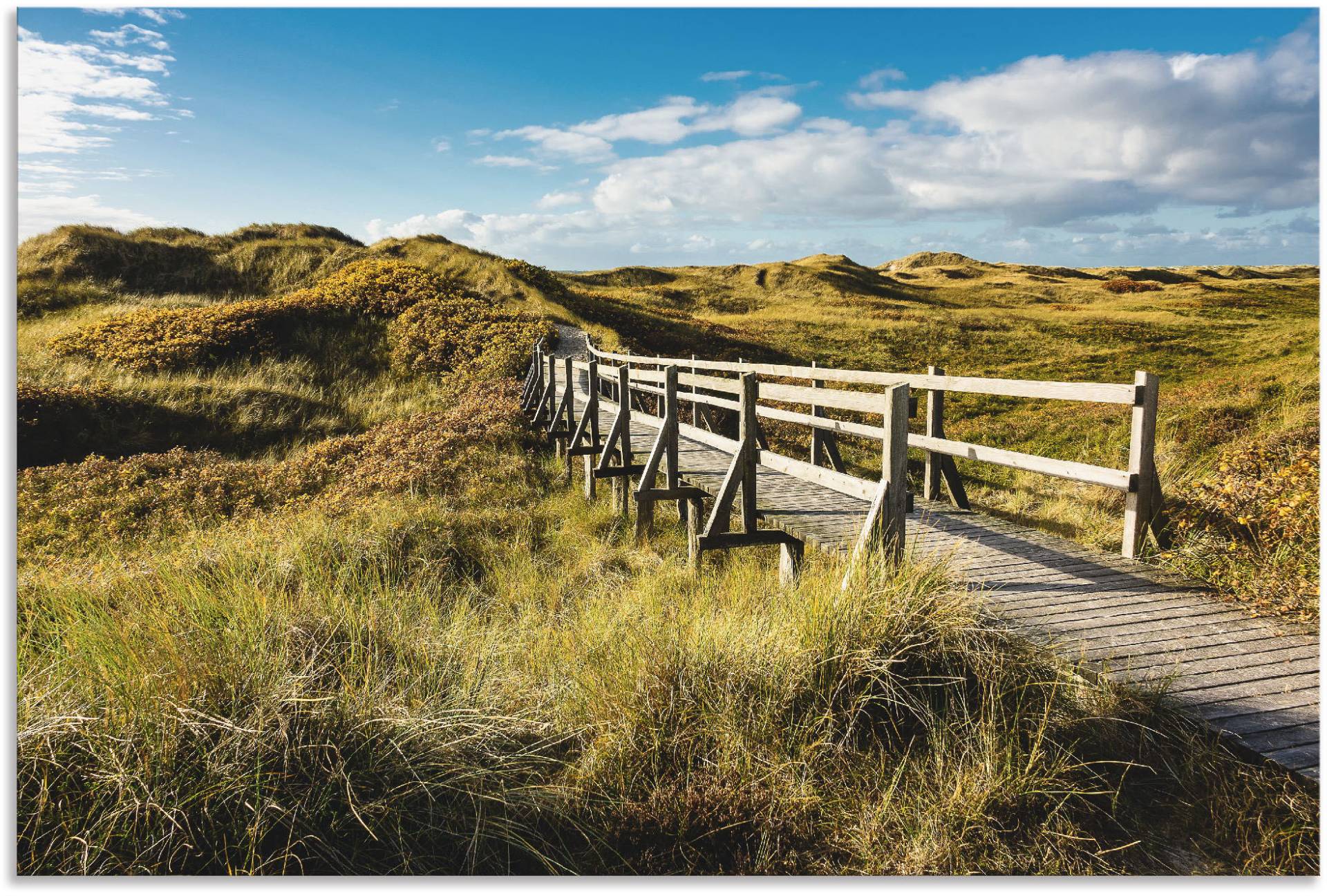 Artland Wandbild »Landschaft in den Dünen Insel Amrum«, Küste, (1 St.), als Alubild, Outdoorbild in verschied. Grössen von Artland