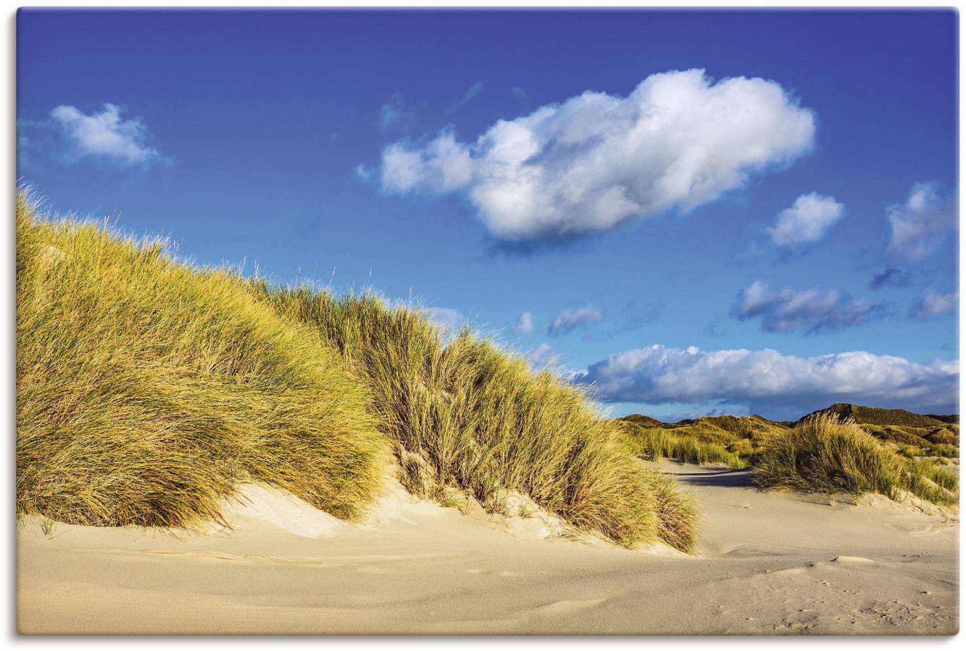 Artland Leinwandbild »Landschaft mit Dünen Insel Amrum«, Strandbilder, (1 St.), auf Keilrahmen gespannt von Artland