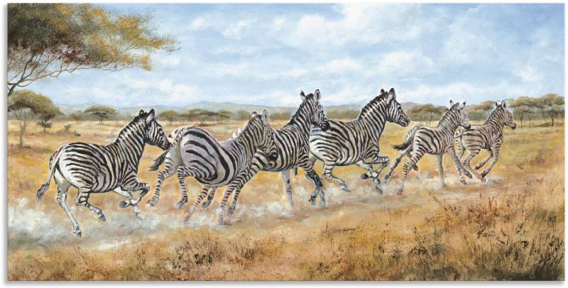 Artland Alu-Dibond-Druck »Laufende Zebras«, Wildtiere, (1 St.), für Innen- und Aussenbereich geeignet, Outdoorbild von Artland