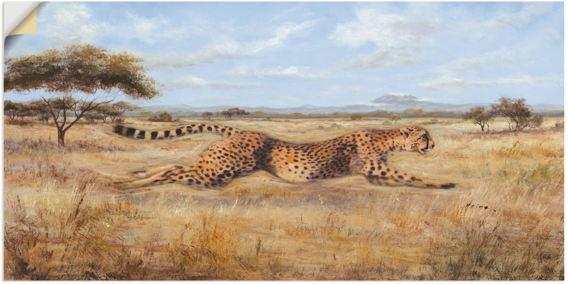 Artland Wandfolie »Laufender Gepard«, Wildtiere, (1 St.), selbstklebend von Artland