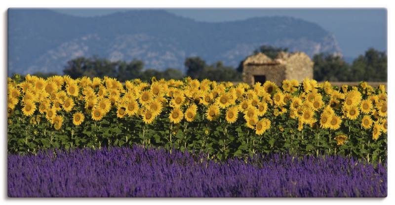 Artland Wandbild »Lavendel Sonnenblumen in der Provence«, Blumenwiese, (1 St.), als Alubild, Leinwandbild, Wandaufkleber oder Poster in versch. Grössen von Artland