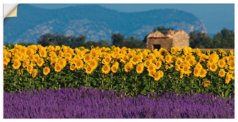 Artland Wandbild »Lavendel Sonnenblumen in der Provence«, Blumenwiese, (1 St.), als Alubild, Leinwandbild, Wandaufkleber oder Poster in versch. Grössen von Artland