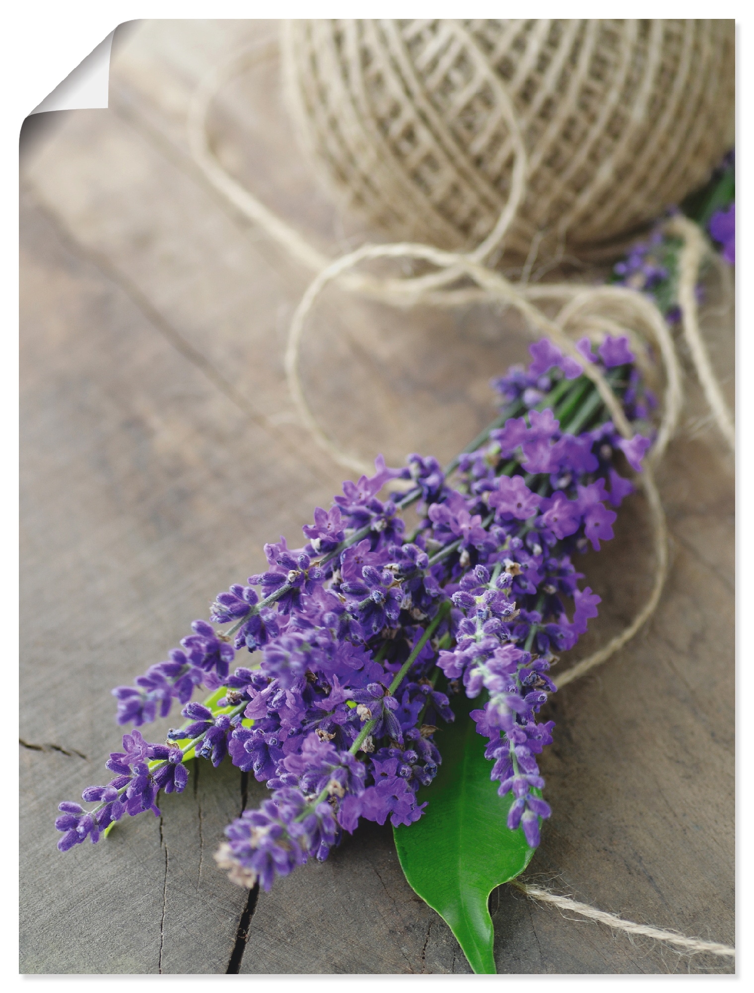 Artland Wandbild »Lavendel Strauss«, Blumen, (1 St.), als Leinwandbild, Poster, Wandaufkleber in verschied. Grössen von Artland