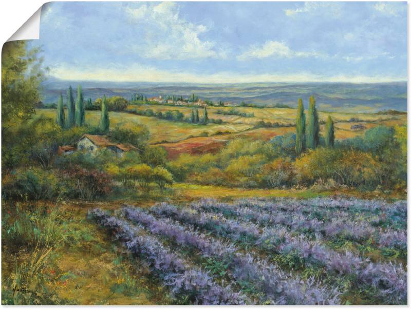 Artland Wandbild »Lavendelfelder in der Provence«, Europa, (1 St.), als Leinwandbild, Poster, Wandaufkleber in verschied. Grössen von Artland