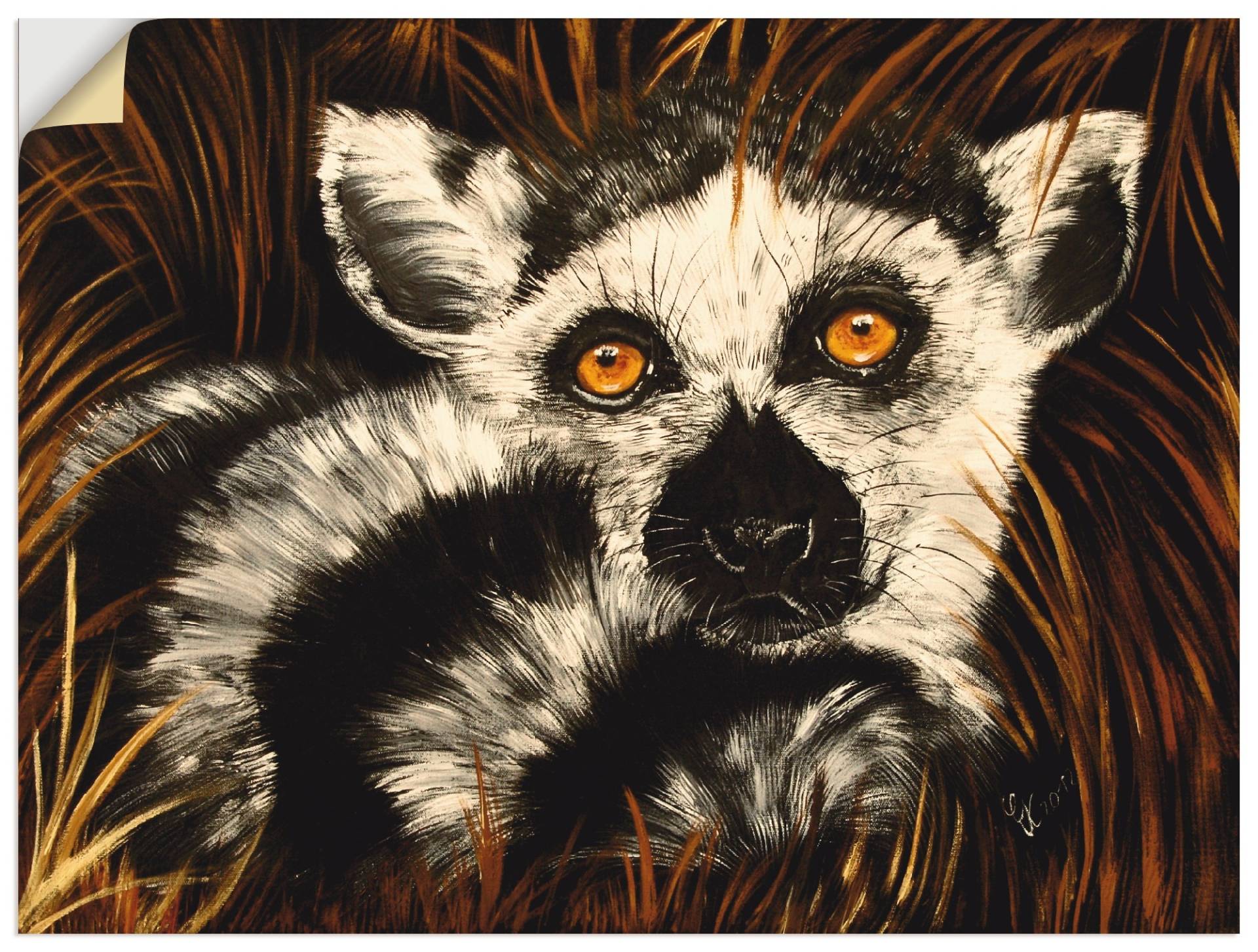 Artland Wandbild »Lemur II«, Wildtiere, (1 St.), als Alubild, Leinwandbild, Wandaufkleber oder Poster in versch. Grössen von Artland