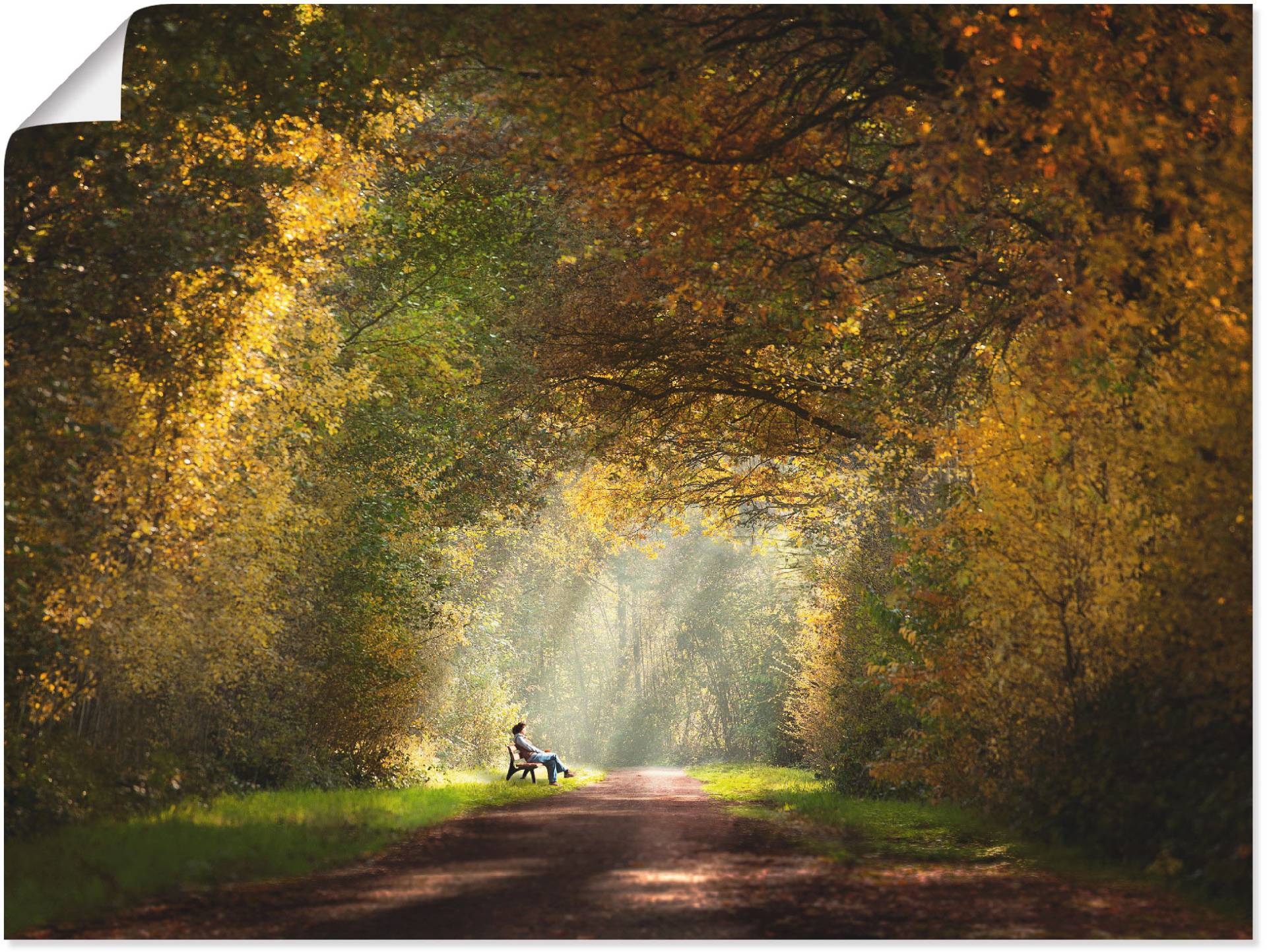 Artland Wandbild »Licht am Ende des Tunnels...«, Wald, (1 St.), als Leinwandbild, Wandaufkleber in verschied. Grössen von Artland