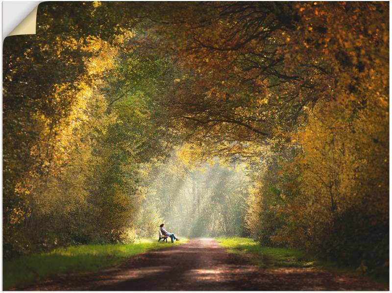 Artland Wandbild »Licht am Ende des Tunnels...«, Wald, (1 St.), als Leinwandbild, Wandaufkleber in verschied. Grössen von Artland