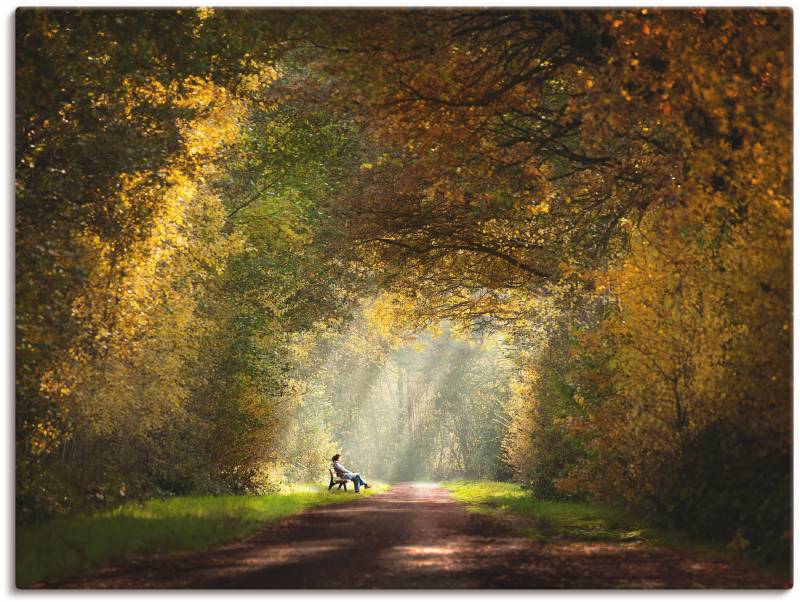 Artland Wandbild »Licht am Ende des Tunnels...«, Wald, (1 St.), als Leinwandbild, Wandaufkleber in verschied. Grössen von Artland