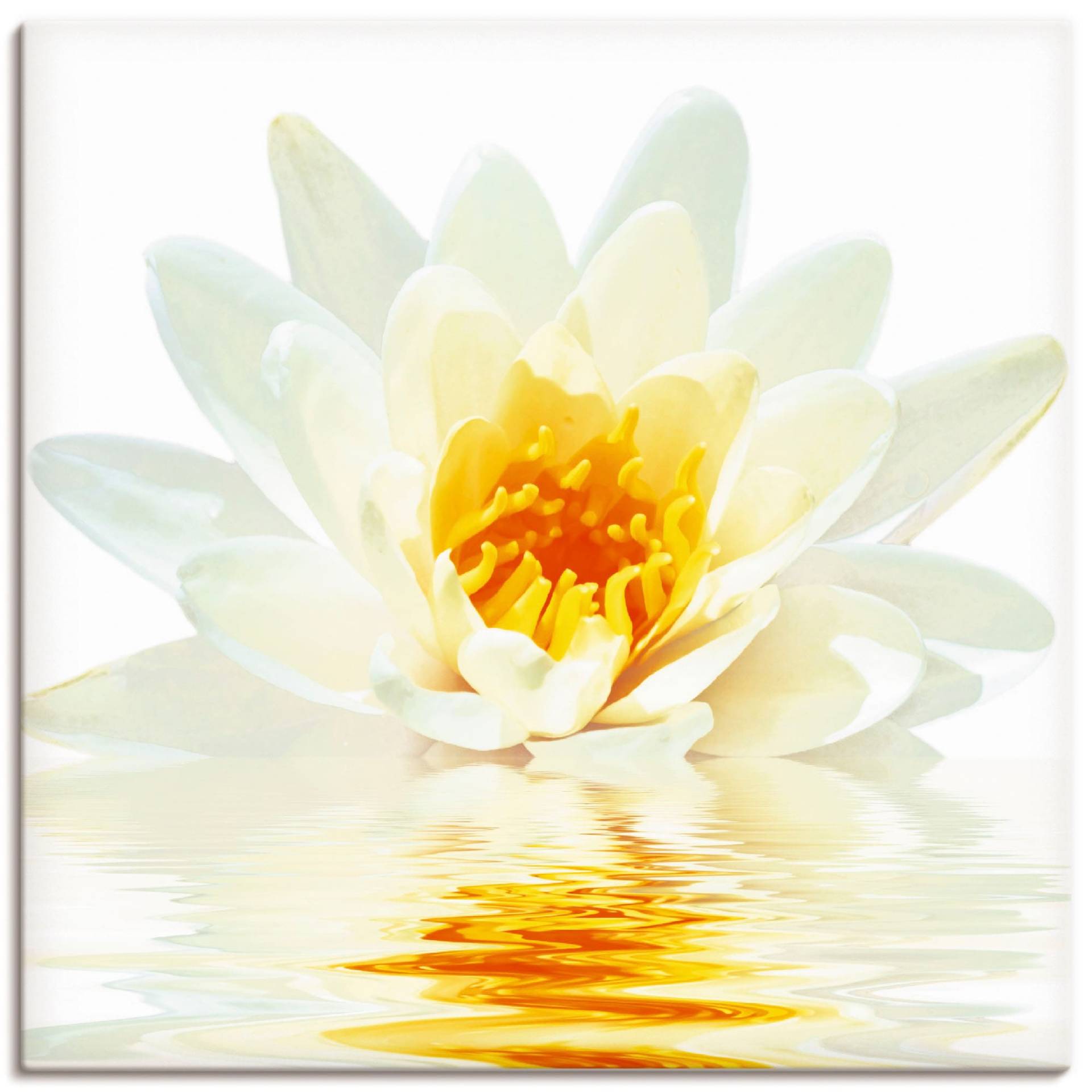 Artland Wandbild »Lotusblume schwimmt im Wasser«, Blumen, (1 St.), als Leinwandbild in verschied. Grössen von Artland