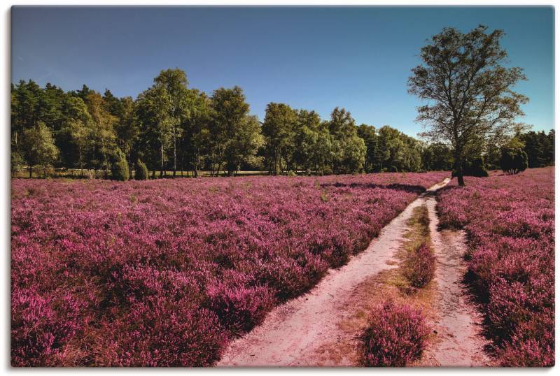 Artland Leinwandbild »Lüneburger Heide Romantik«, Blumenwiese, (1 St.), auf Keilrahmen gespannt von Artland