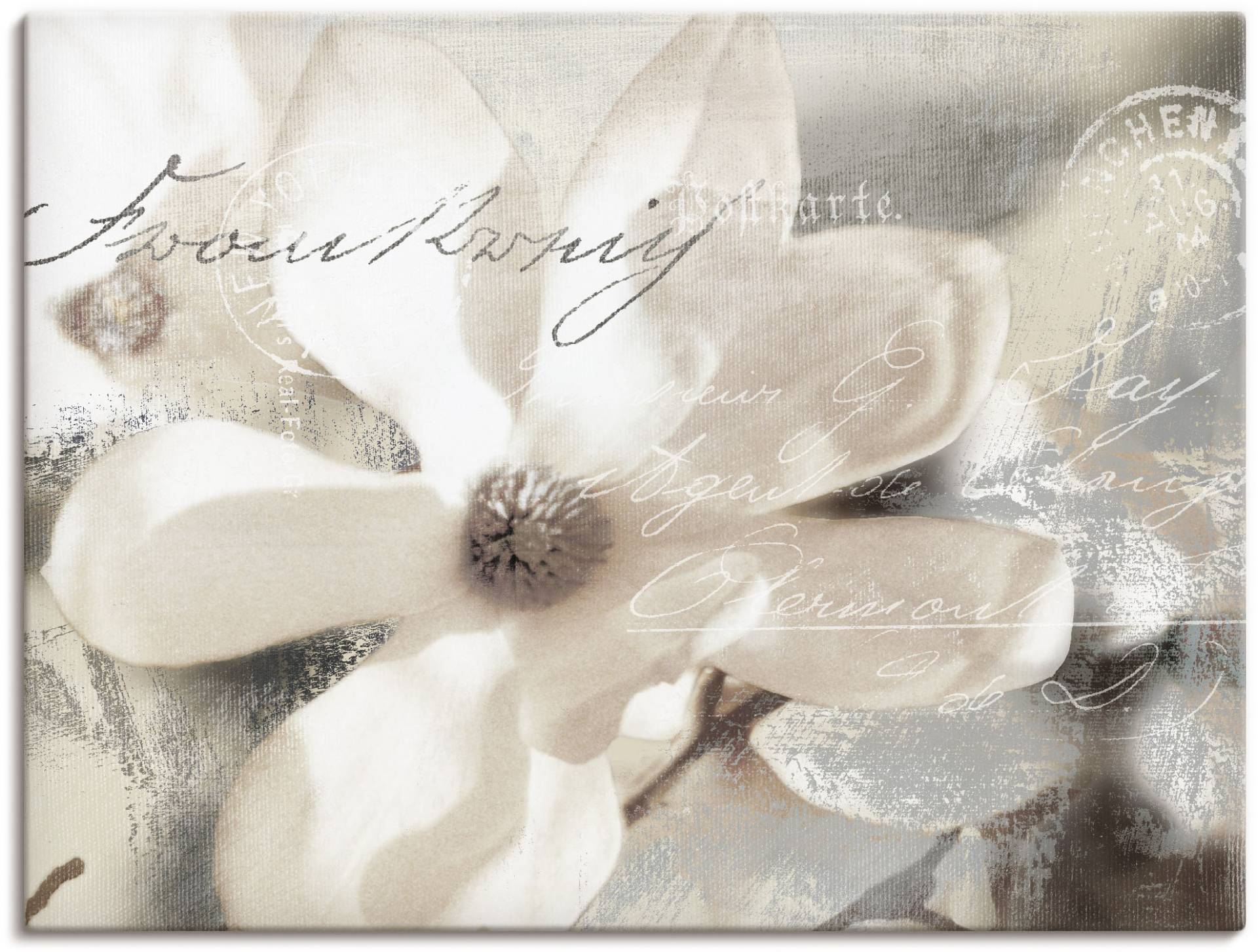 Artland Wandbild »Magnolie_Detail«, Blumenbilder, (1 St.), als Alubild, Outdoorbild, Leinwandbild, Poster, Wandaufkleber von Artland