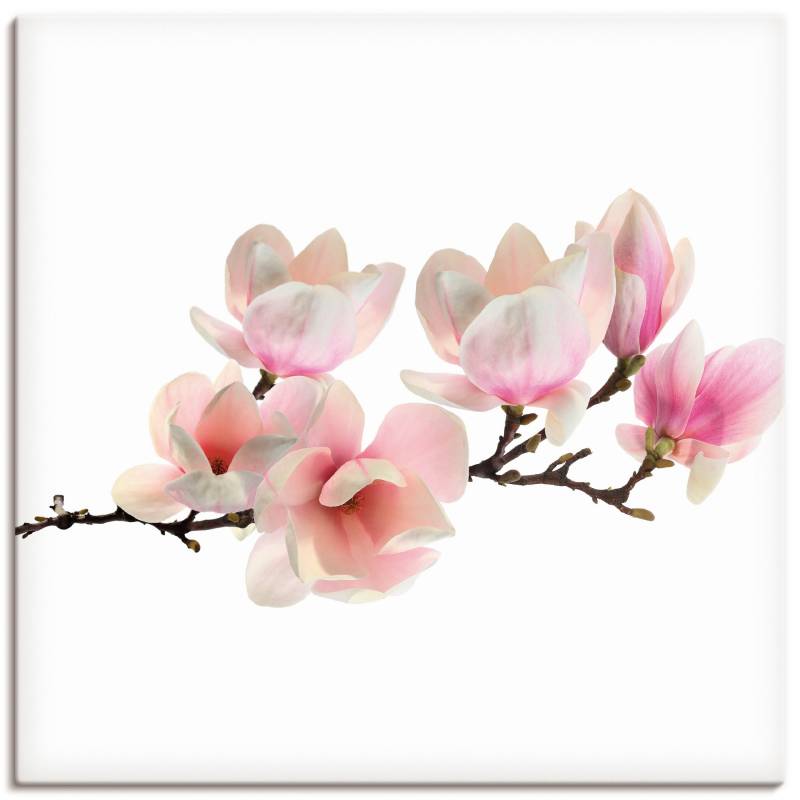 Artland Wandbild »Magnolie«, Blumen, (1 St.), als Leinwandbild, Poster, Wandaufkleber in verschied. Grössen von Artland