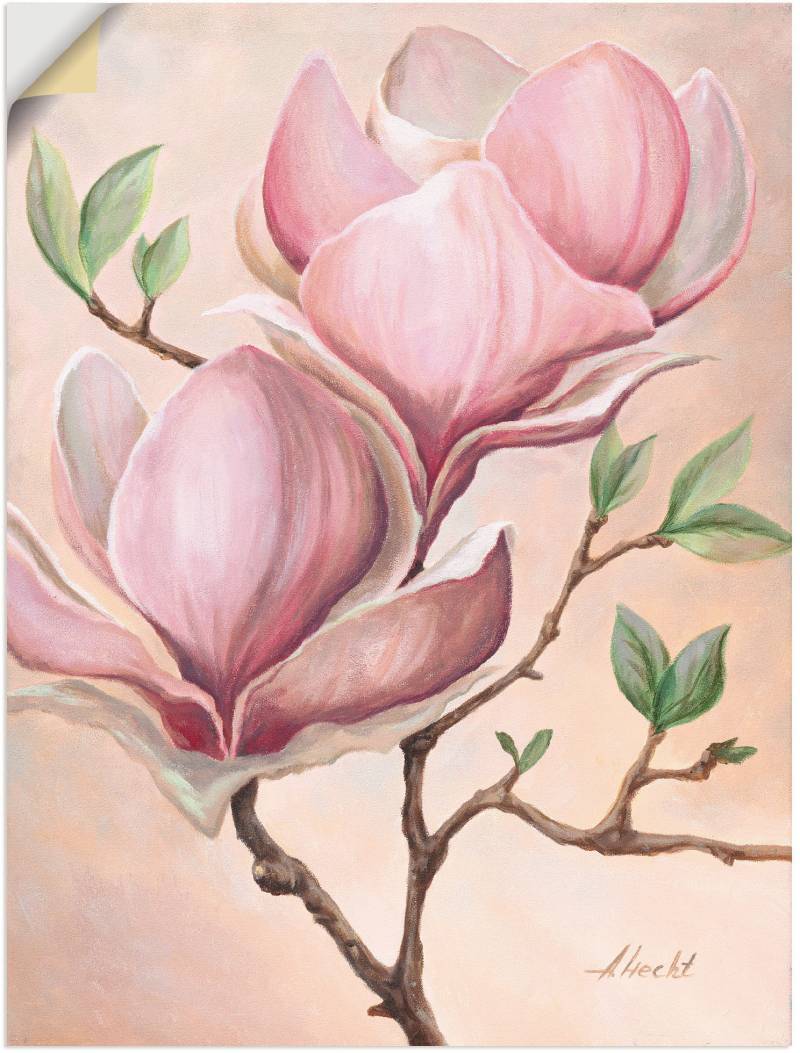 Artland Wandbild »Magnolienblüten«, Blumen, (1 St.), als Leinwandbild, Poster in verschied. Grössen von Artland