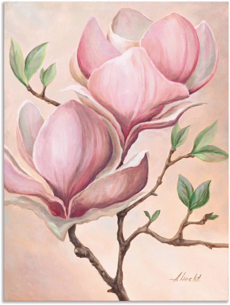 Artland Wandbild »Magnolienblüten«, Blumen, (1 St.), als Leinwandbild, Poster in verschied. Grössen von Artland