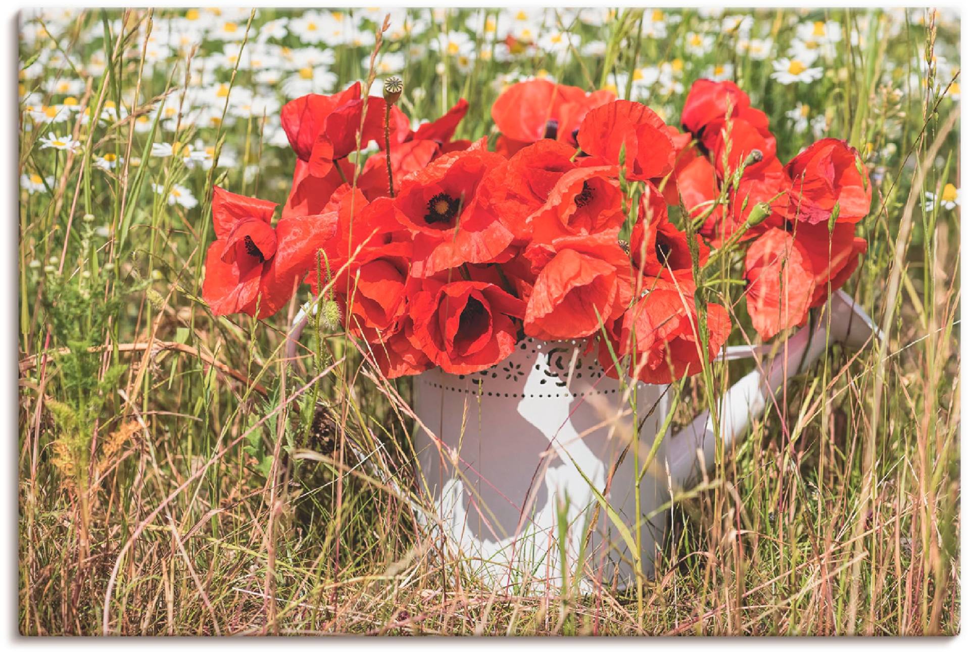 Artland Leinwandbild »Mohnblüten im Feld«, Blumenwiese, (1 St.), auf Keilrahmen gespannt von Artland