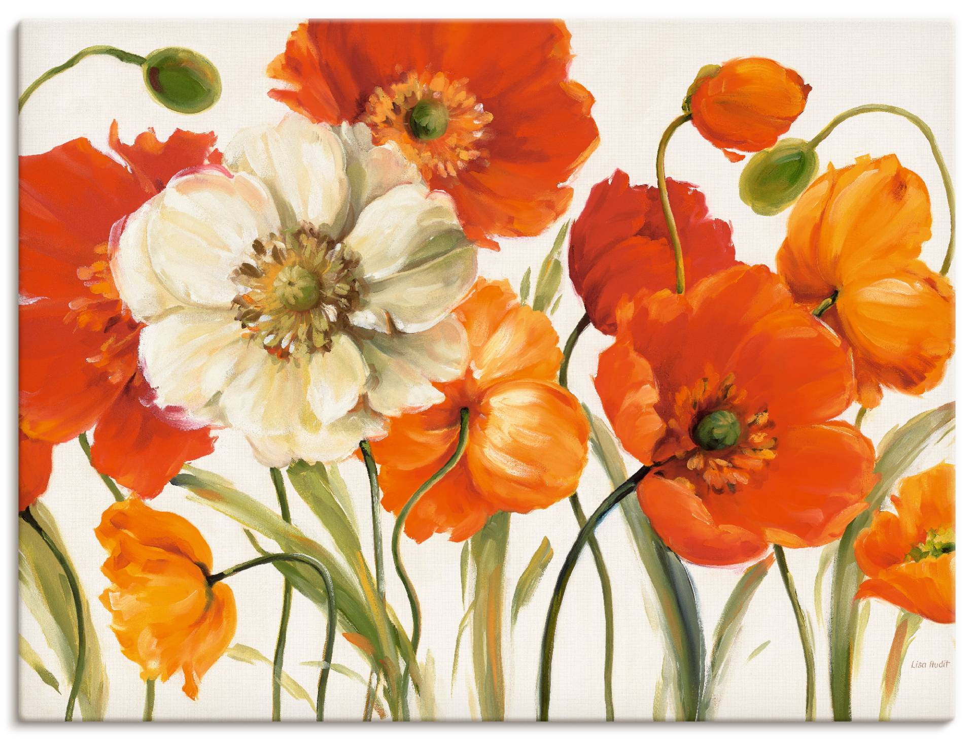 Artland Wandbild »Mohnblumen I«, Blumen, (1 St.), als Leinwandbild, Poster, Wandaufkleber in verschied. Grössen von Artland