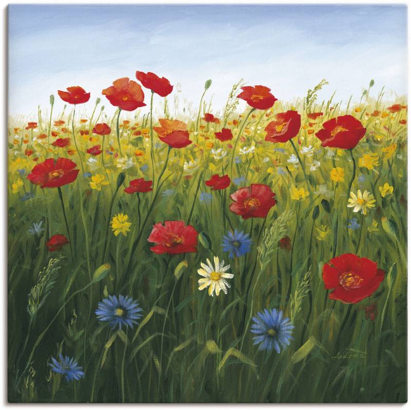 Artland Wandbild »Mohnblumen Landschaft I«, Blumenwiese, (1 St.), als Alubild, Outdoorbild, Leinwandbild, Poster in verschied. Grössen von Artland