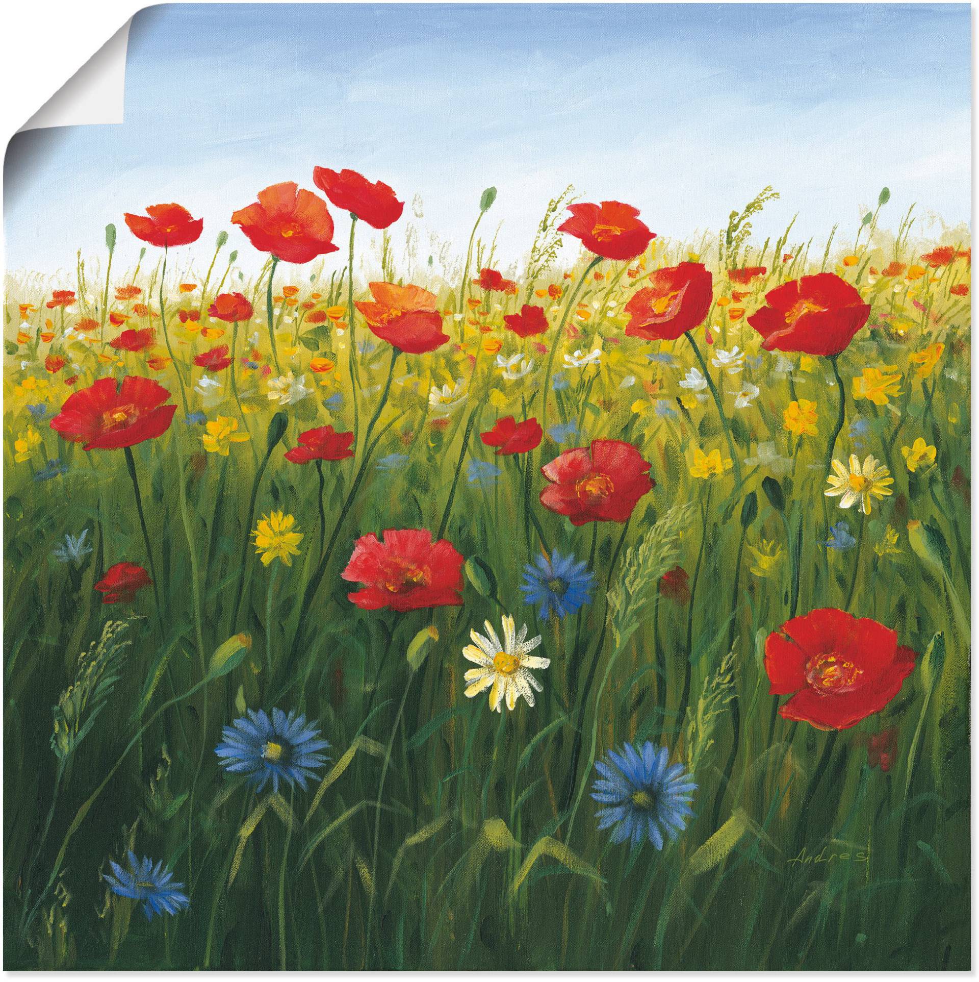 Artland Wandbild »Mohnblumen Landschaft I«, Blumenwiese, (1 St.), als Alubild, Outdoorbild, Leinwandbild, Poster in verschied. Grössen von Artland