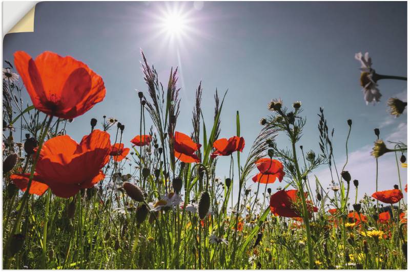 Artland Wandbild »Mohnblumenwiese«, Blumenwiese, (1 St.), als Alubild, Outdoorbild, Leinwandbild, Poster in verschied. Grössen von Artland