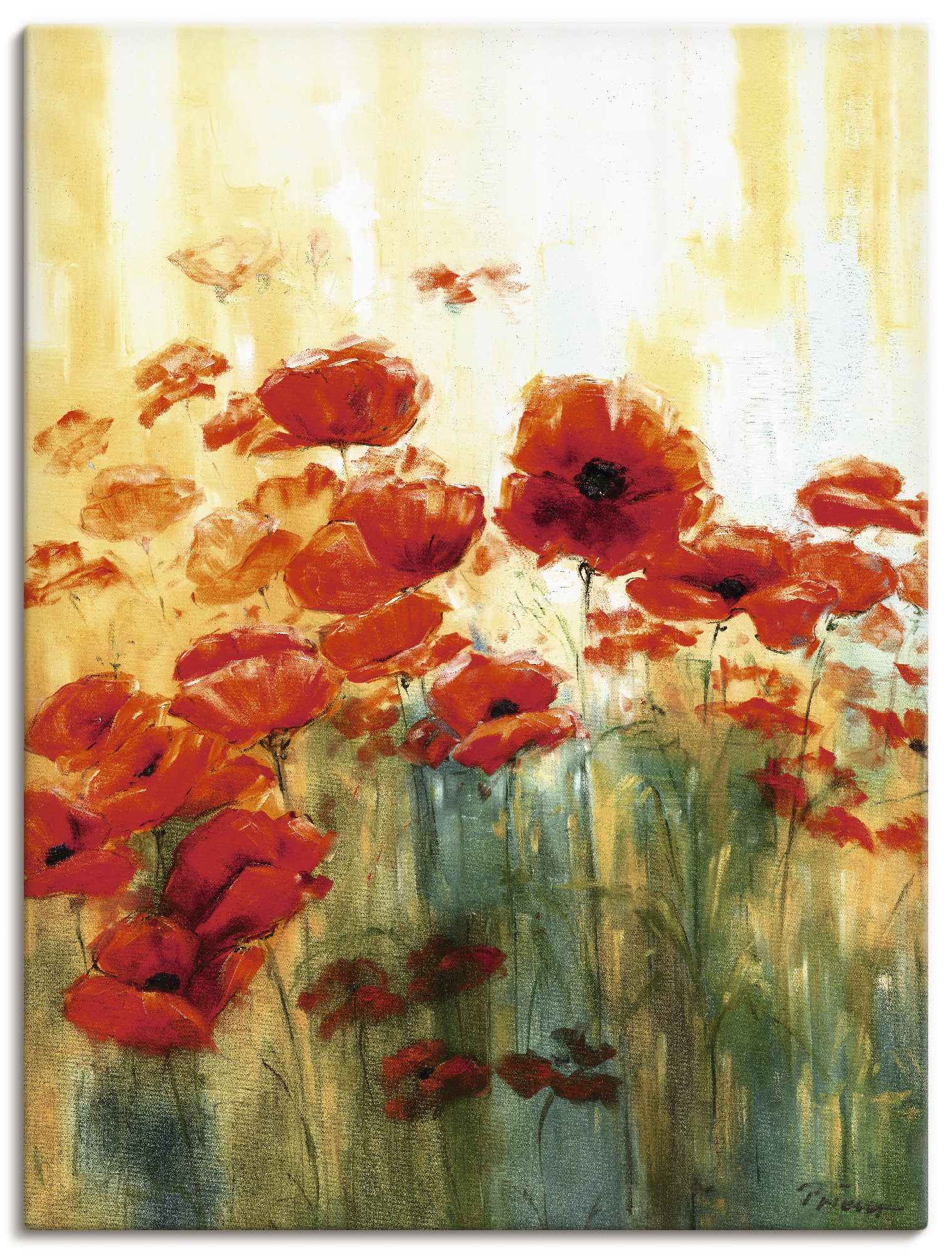 Artland Wandbild »Mohnwiese«, Blumen, (1 St.), als Alubild, Outdoorbild, Leinwandbild, Poster in verschied. Grössen von Artland