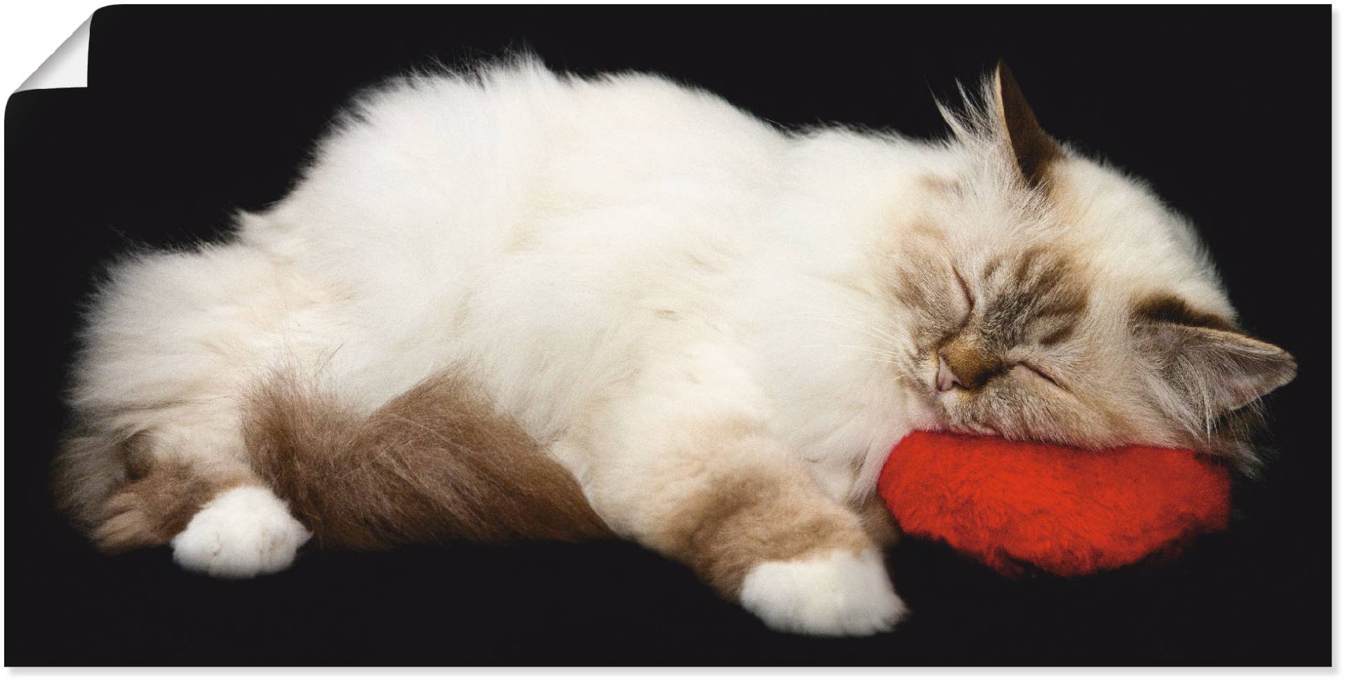 Artland Wandbild »Müde Katze«, Haustiere, (1 St.), als Leinwandbild, Poster, Wandaufkleber in verschied. Grössen von Artland