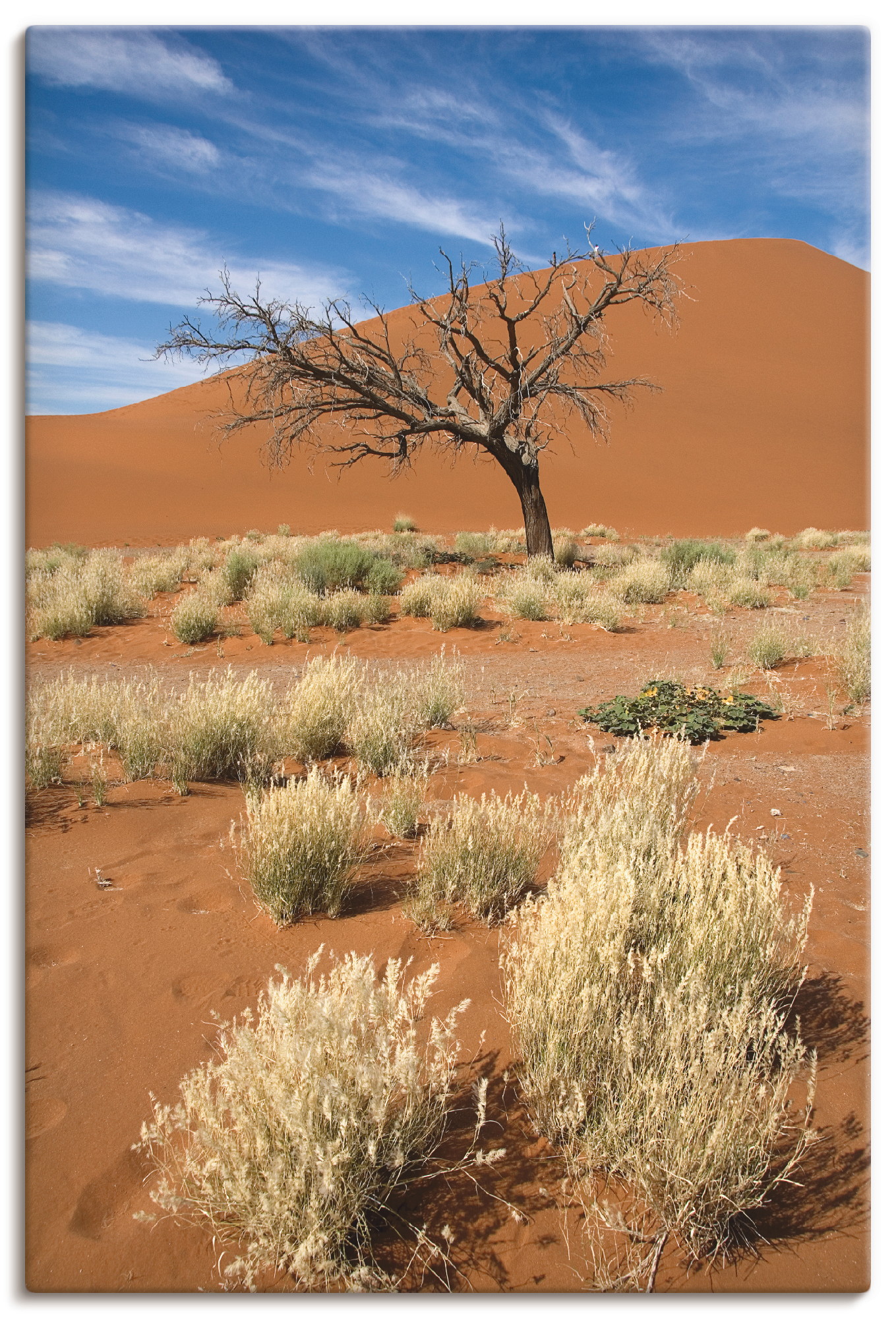 Artland Wandbild »Namib-Wüste 2«, Afrika, (1 St.), als Leinwandbild, Poster in verschied. Grössen von Artland