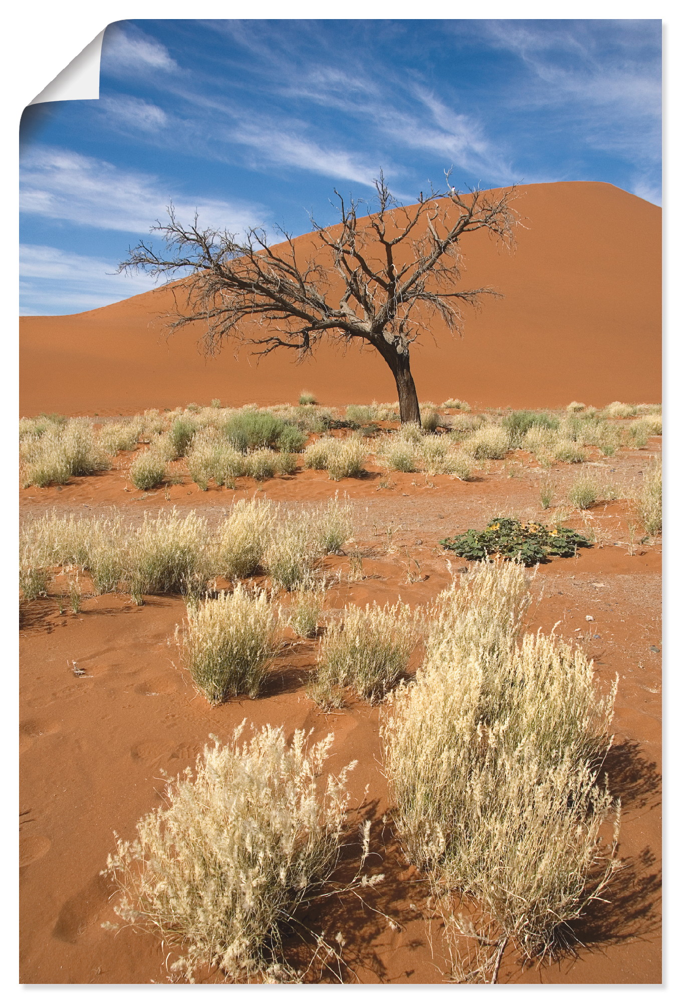 Artland Wandbild »Namib-Wüste 2«, Afrika, (1 St.), als Leinwandbild, Poster in verschied. Grössen von Artland