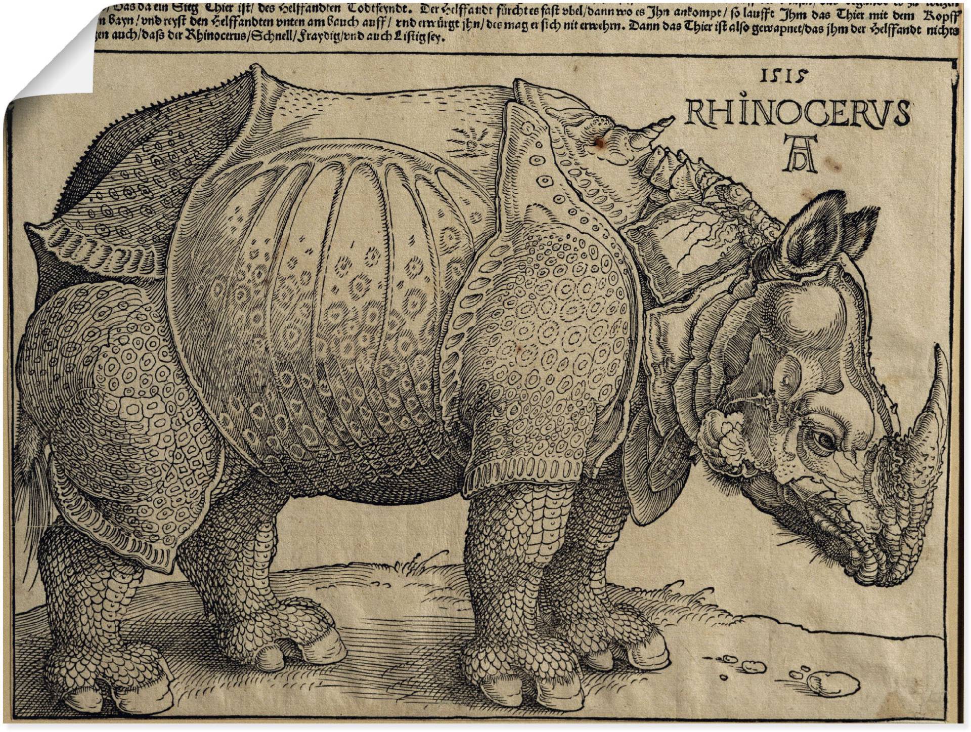 Artland Kunstdruck »Nashorn. 1515. Für König Emanuel.«, Wildtiere, (1 St.), als Leinwandbild, Wandaufkleber oder Poster in versch. Grössen von Artland