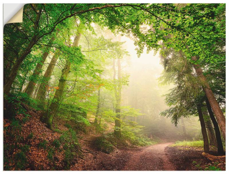 Artland Wandbild »Natürliche Torbögen durch Bäume«, Wald, (1 St.), als Alubild, Outdoorbild, Poster, Wandaufkleber in verschied. Grössen von Artland