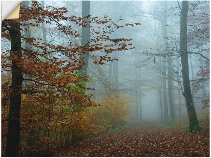 Artland Wandbild »Nebel im Herbstwald«, Wald, (1 St.), als Leinwandbild, Poster, Wandaufkleber in verschied. Grössen von Artland