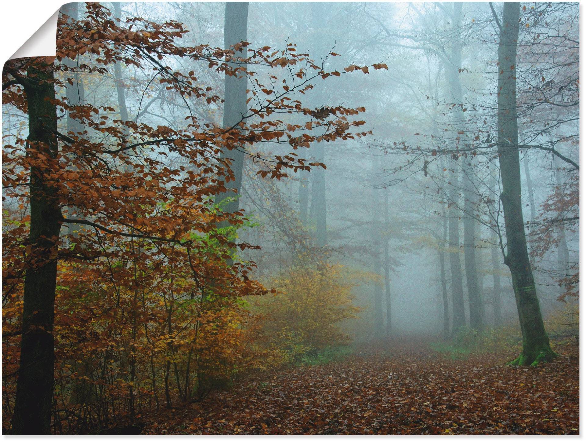 Artland Wandbild »Nebel im Herbstwald«, Wald, (1 St.), als Leinwandbild, Poster, Wandaufkleber in verschied. Grössen von Artland