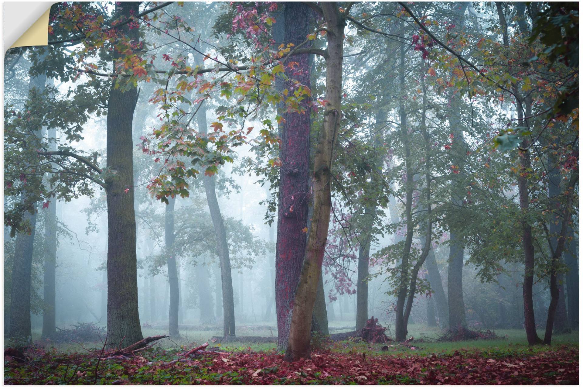 Artland Wandbild »Nebel im Wald«, Waldbilder, (1 St.), als Alubild, Outdoorbild, Poster, Wandaufkleber in verschied. Grössen von Artland