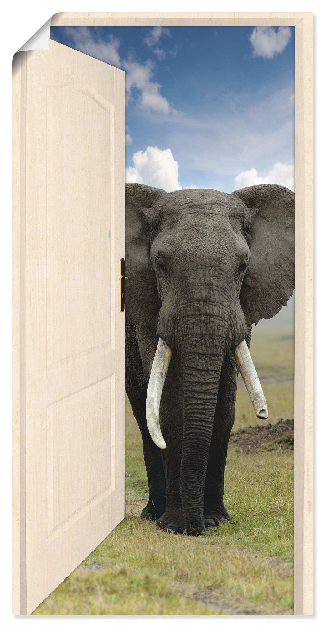 Artland Wandbild »Offene weisse Türe mit Blick auf Elefant«, Wildtiere, (1 St.), als Leinwandbild, Poster, Wandaufkleber in verschied. Grössen von Artland