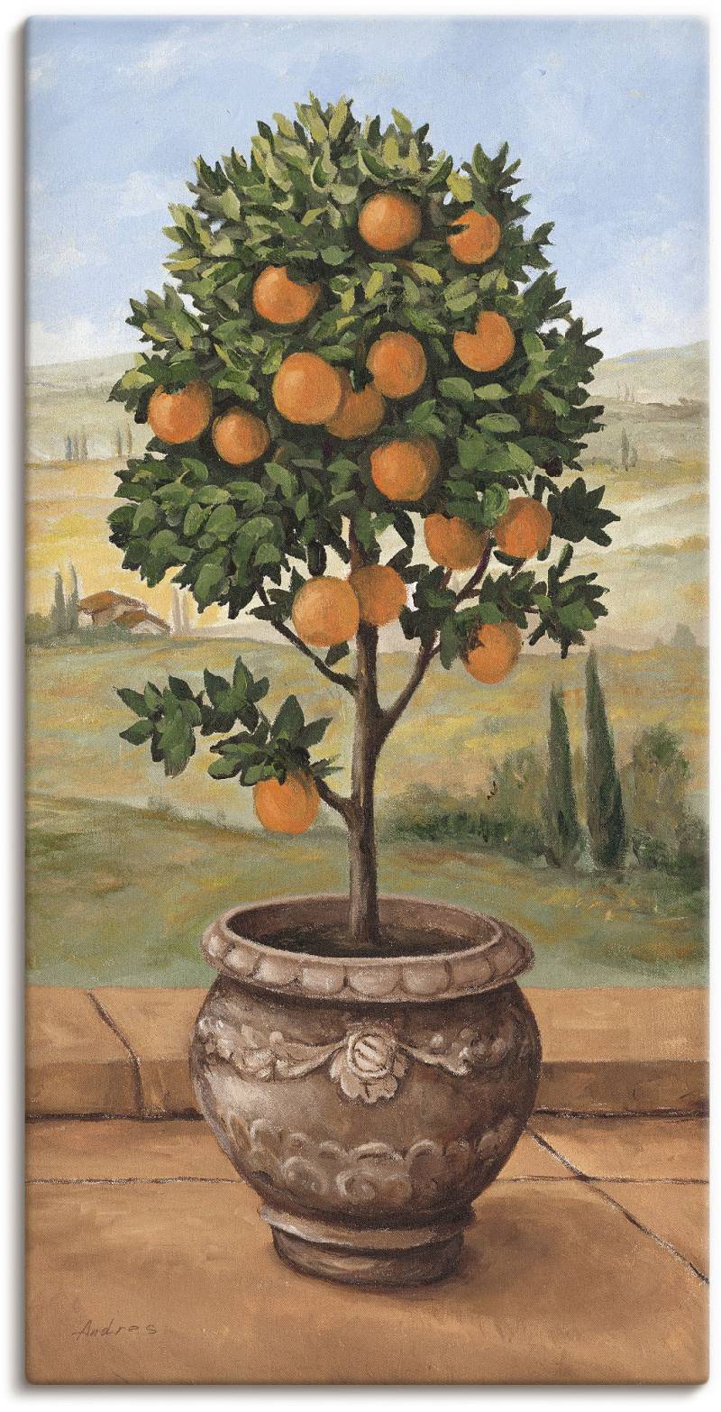 Artland Wandbild »Orangenbaum«, Bäume, (1 St.), als Leinwandbild, Wandaufkleber in verschied. Grössen von Artland