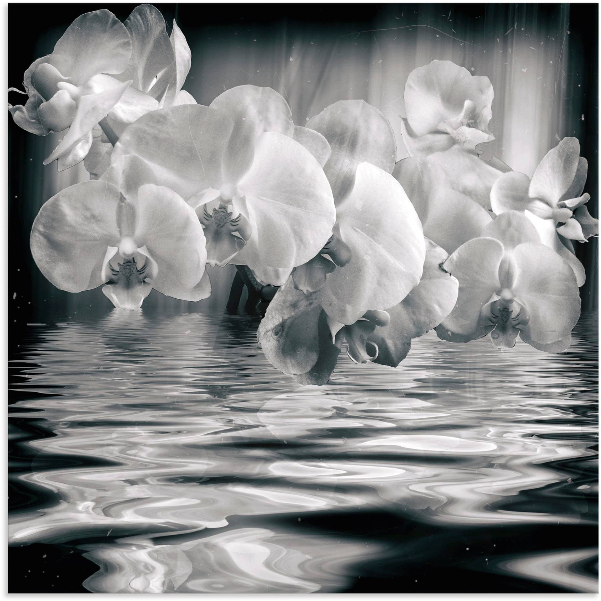 Artland Wandbild »Orchideen - monochrom«, Spa Bilder, (1 St.), als Leinwandbild, Wandaufkleber in verschied. Grössen von Artland