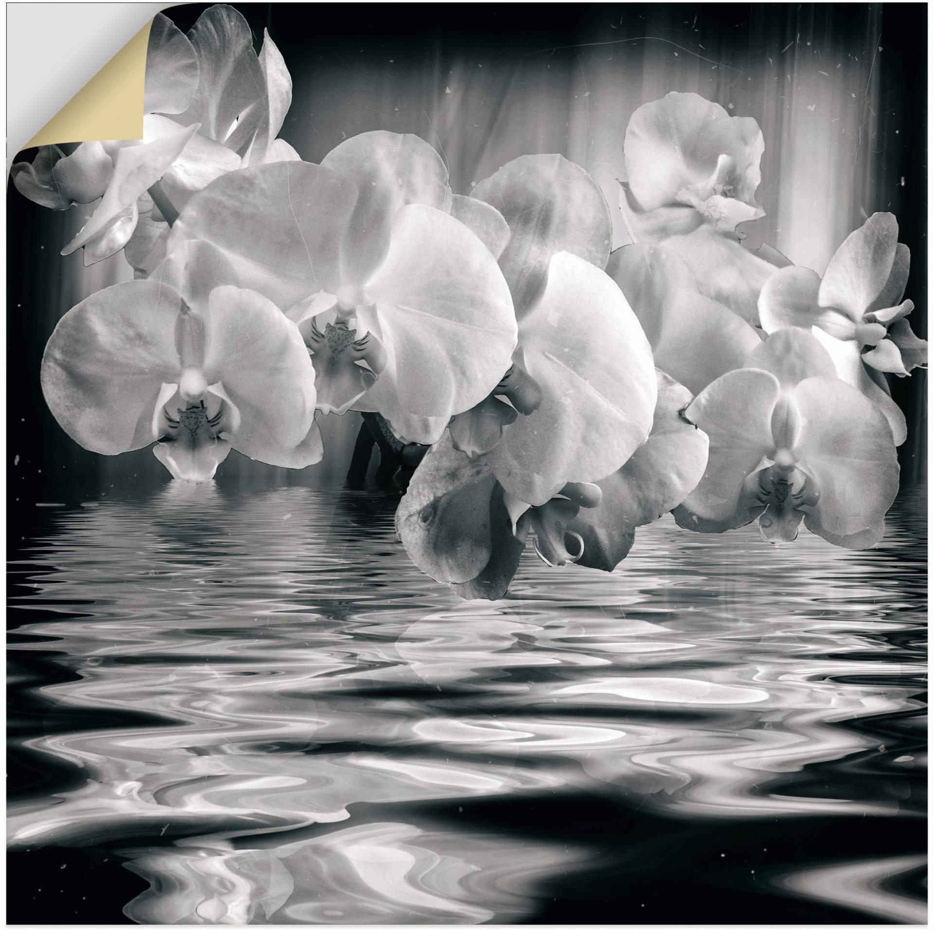 Artland Wandbild »Orchideen - monochrom«, Spa Bilder, (1 St.), als Leinwandbild, Wandaufkleber in verschied. Grössen von Artland