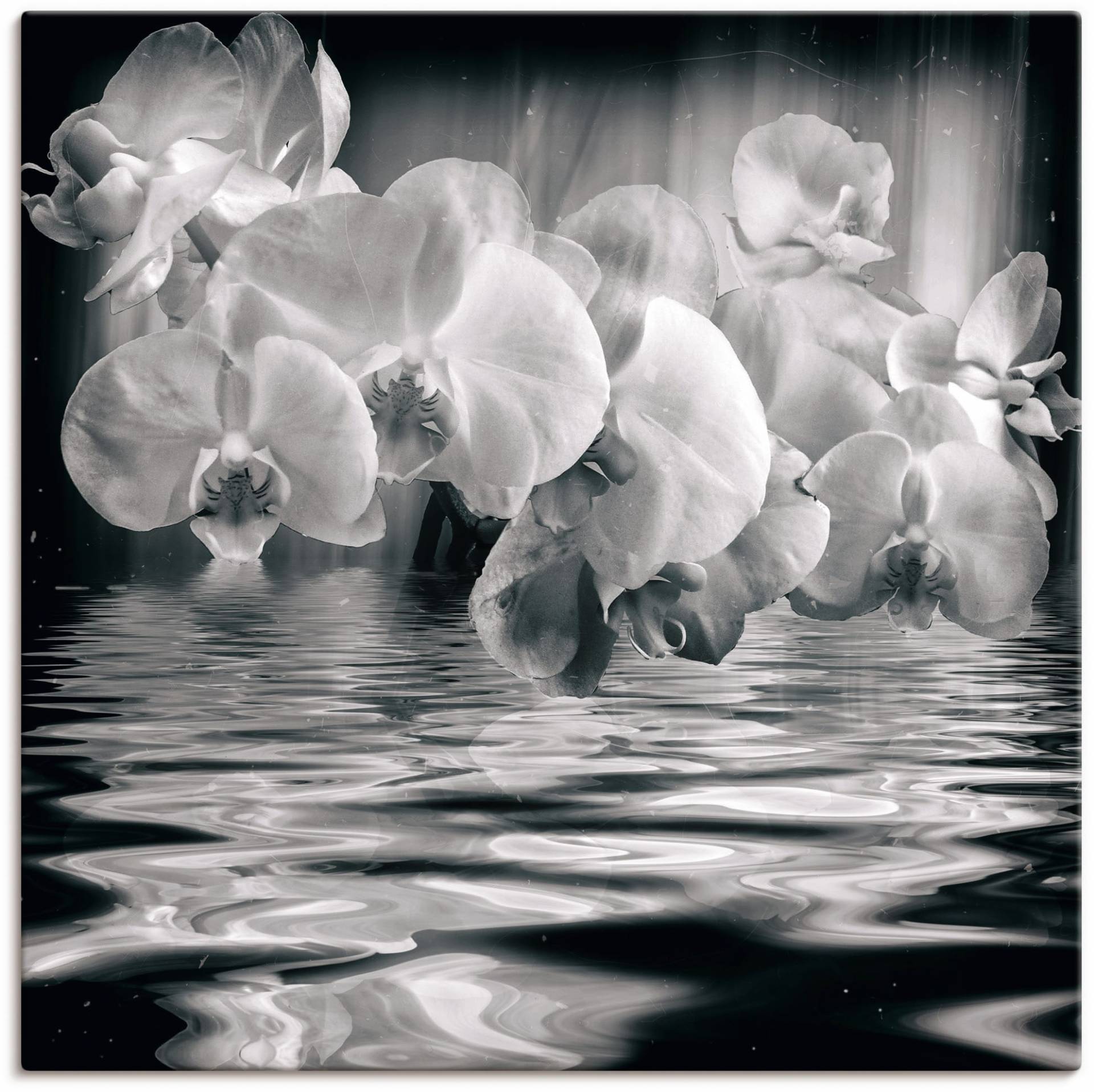 Artland Wandbild »Orchideen - monochrom«, Spa Bilder, (1 St.), als Leinwandbild, Wandaufkleber in verschied. Grössen von Artland