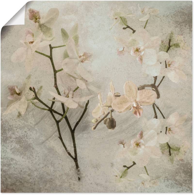 Artland Wandbild »Orchideen«, Blumen, (1 St.), als Leinwandbild, Poster, Wandaufkleber in verschied. Grössen von Artland