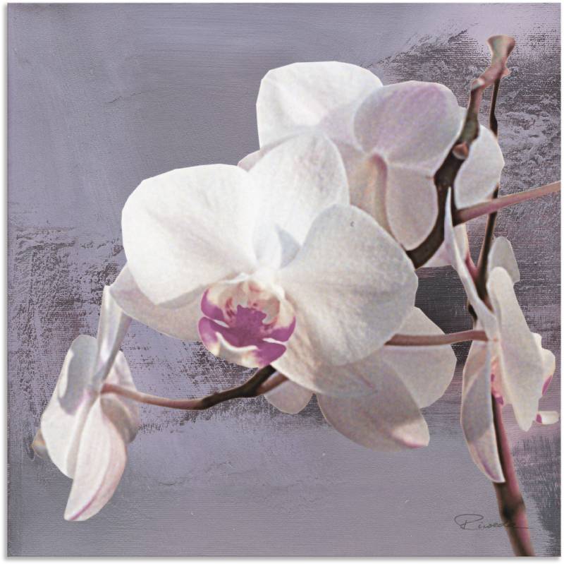 Artland Wandbild »Orchideen vor Violett I«, Blumen, (1 St.), als Alubild, Outdoorbild, Leinwandbild, Poster, Wandaufkleber von Artland