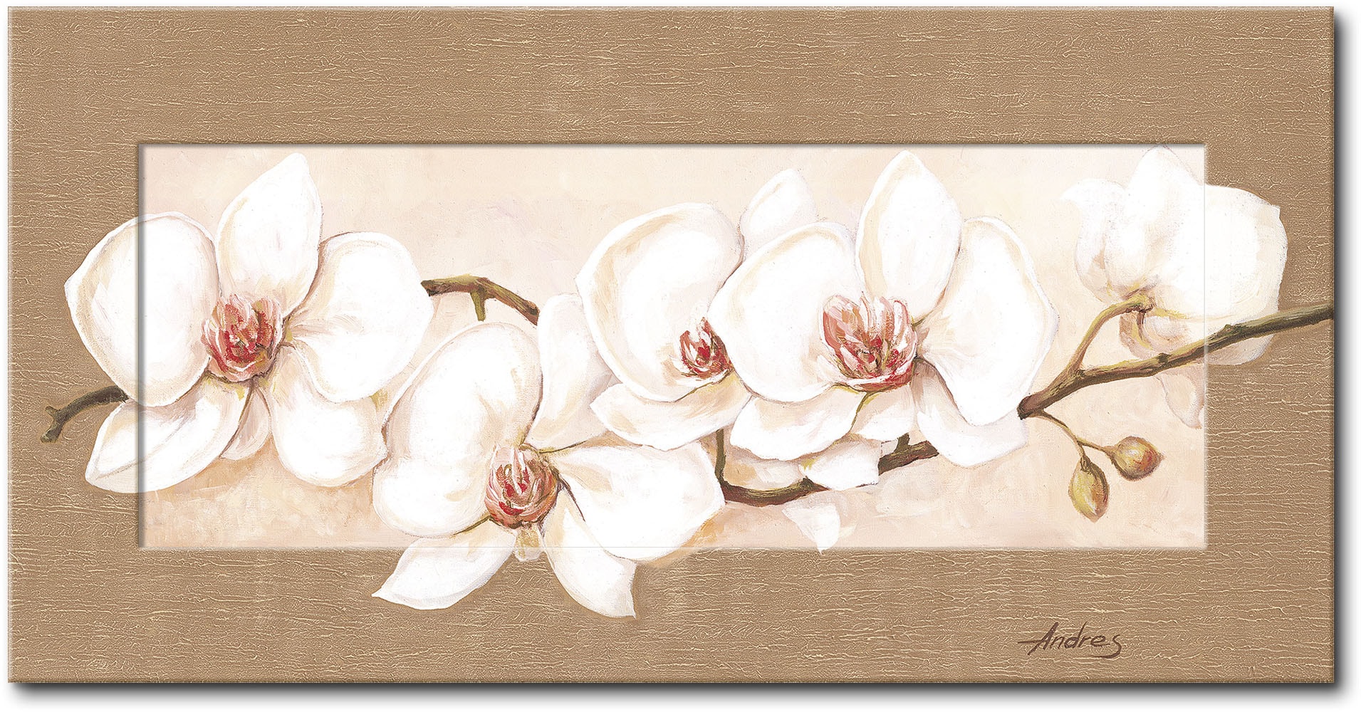 Artland Wandbild »Orchideenzweig«, Blumen, (1 St.) von Artland