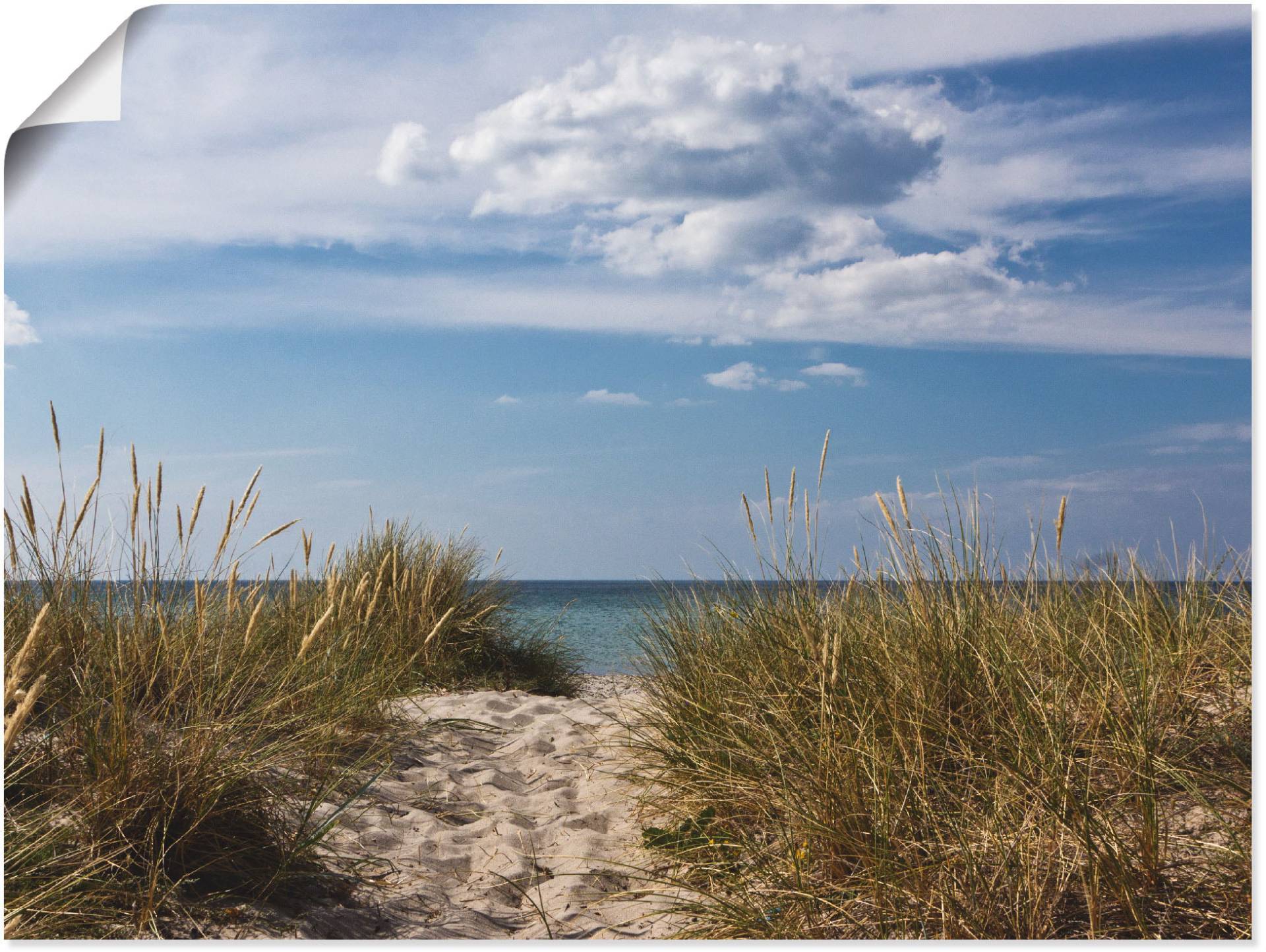 Artland Wandbild »Ostseestrand in Dänemark«, Strand, (1 St.), als Leinwandbild, Poster in verschied. Grössen von Artland