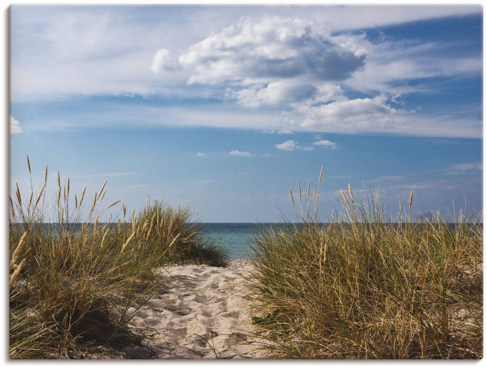 Artland Wandbild »Ostseestrand in Dänemark«, Strand, (1 St.), als Leinwandbild, Poster in verschied. Grössen von Artland